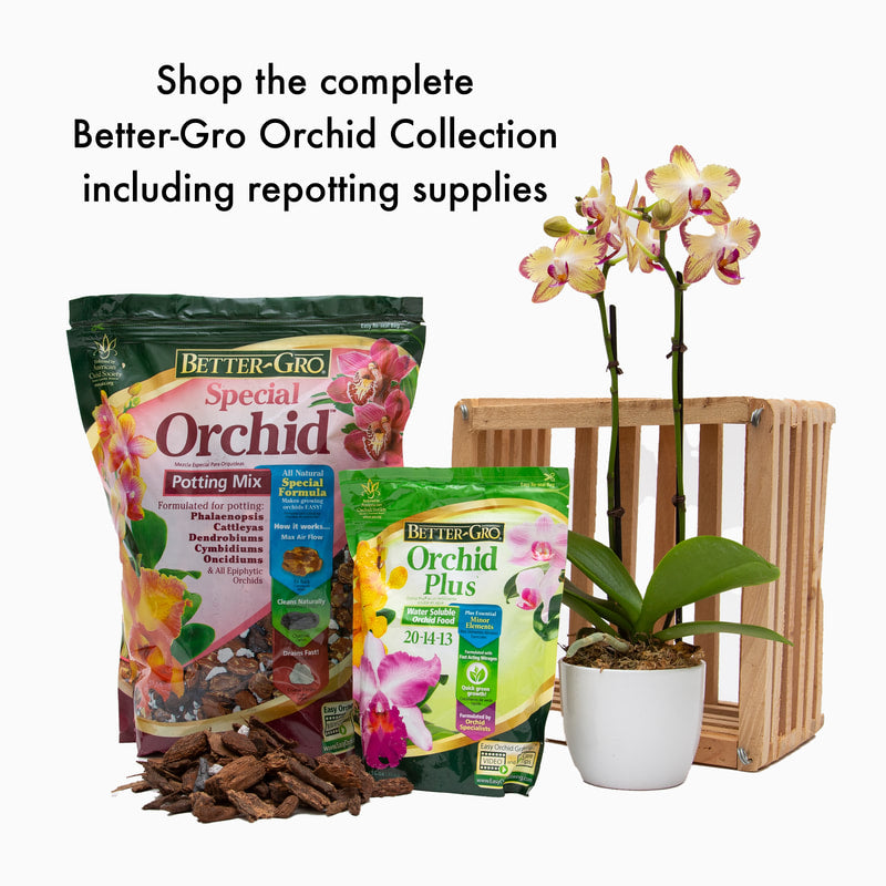 Better-Gro® Premium Grade Orchid Moss - Sarasota, FL - Your Farm & Garden