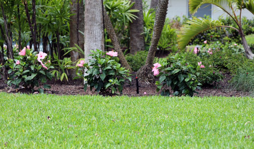 It’s May and Time to Mulch in Southwest Florida!