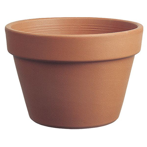 Border Concepts Italian Azalea Pot Terracotta