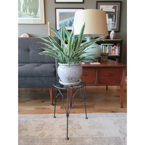 Border Concepts Mesa Plant Stand Graphite