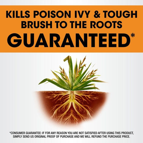 Roundup Poison Ivy Plus Tough Brush Killer2 Concentrate