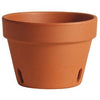 Orchid Pot, Terra Cotta Clay, 8-In.