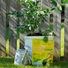 BGI CITRUSGAIN® 8-3-9 Plant Food