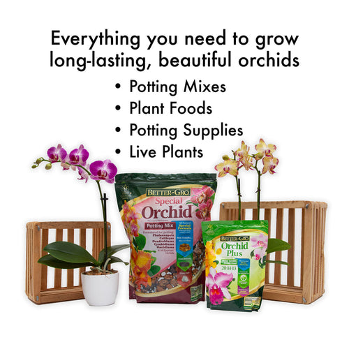 Better-Gro® Orchid Plus® Plant Food