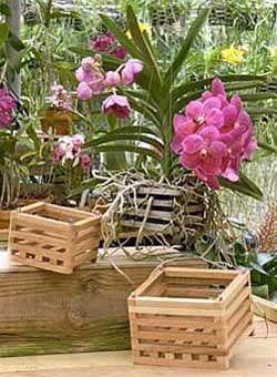 Better-Gro® Wooden Baskets