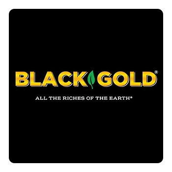 black gold logo