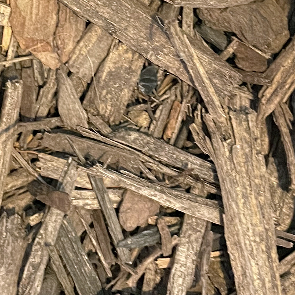 brown mulch