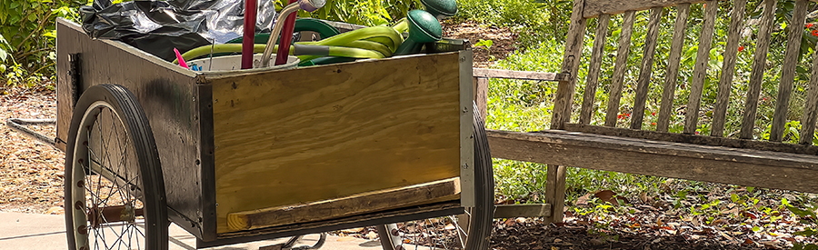 It’s Already March and Time to Fertilize your Garden and Landscaping Beds