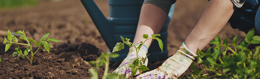 Grab Your Gloves, Rakes & Shovels… It’s Time to Garden!