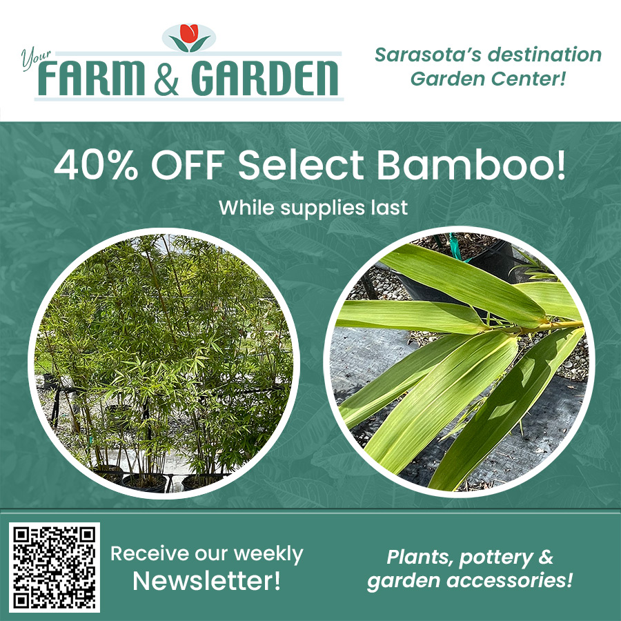 40 percent off selection bamboo 40 percent off selection bamboo