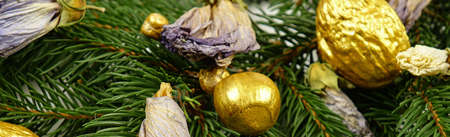 Inspiring Holiday Decor Ideas for SW Florida