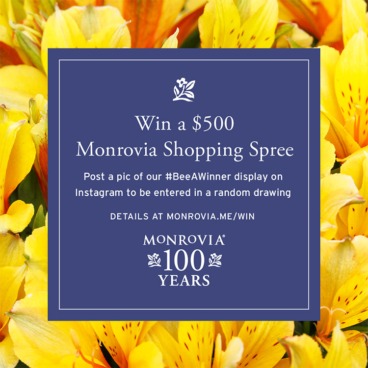 bee a winner shopping spree from Monrovia