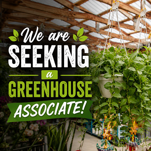 seeking a greenhouse associate