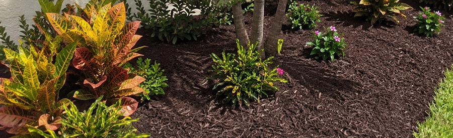 summertime mulching in florida