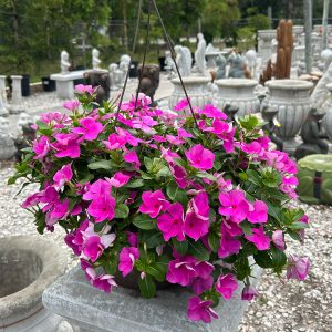 vinca hanging basket at a your farm and garden