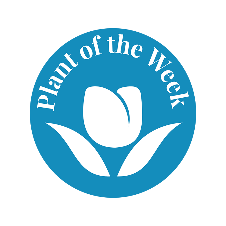 your farm and garden's plant of the week